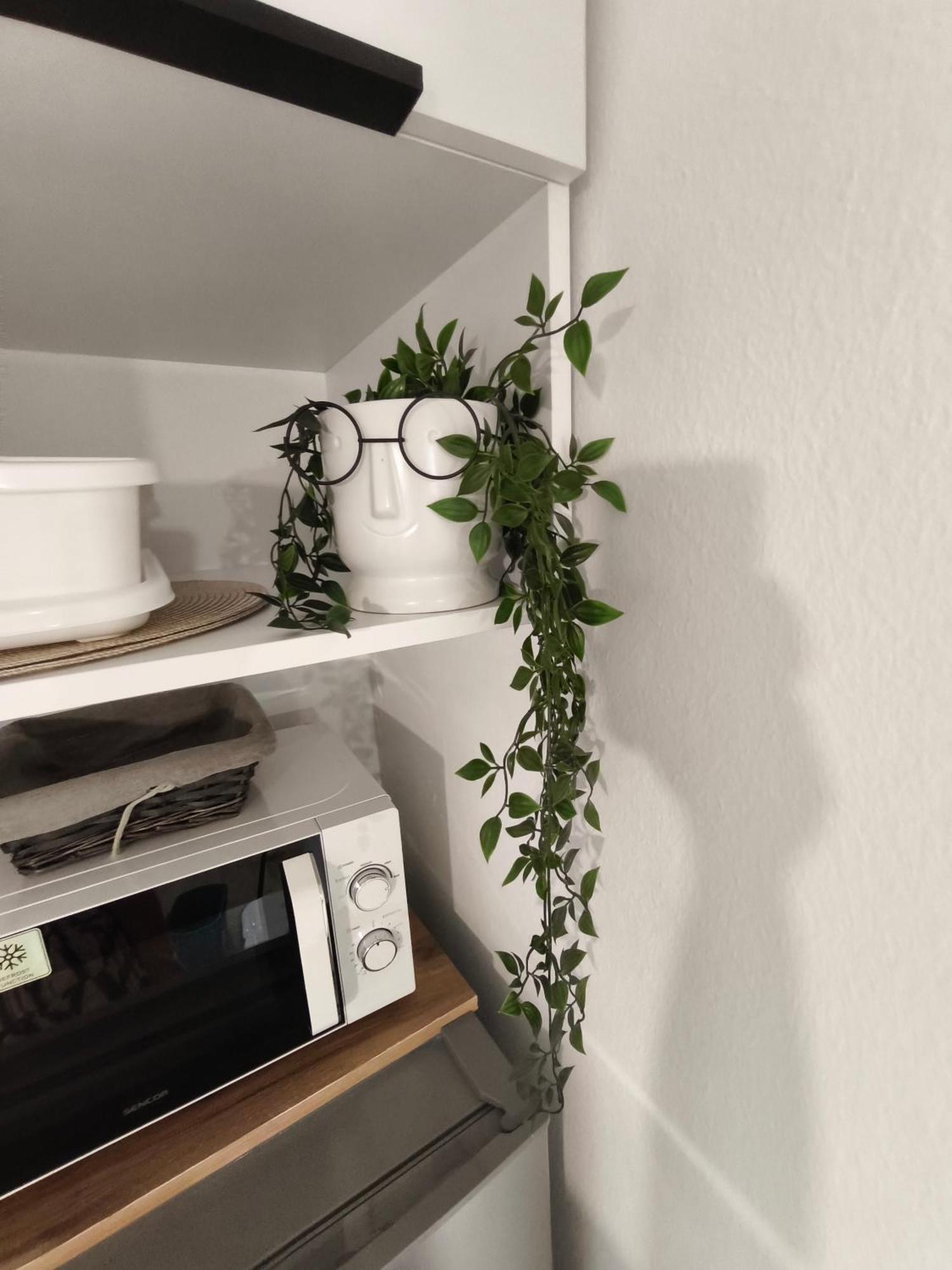 Apartmani Romana Пунат Стая снимка